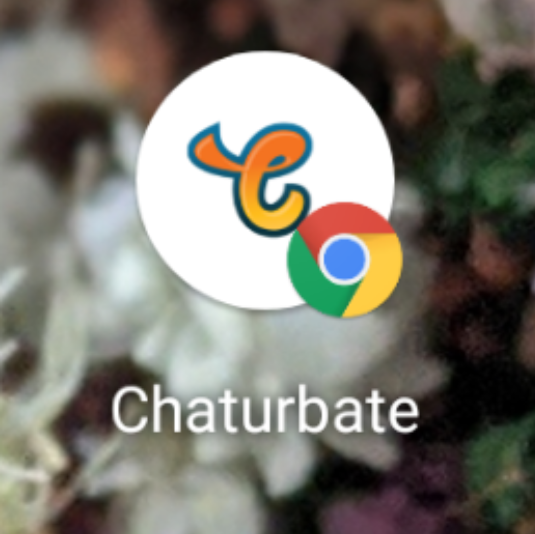 Screenshot_20201125-095724.png